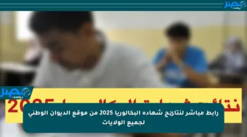 رابط مباشر لنتائج شهادة البكالوريا 2025 من موقع الديوان الوطني لجميع الولايات